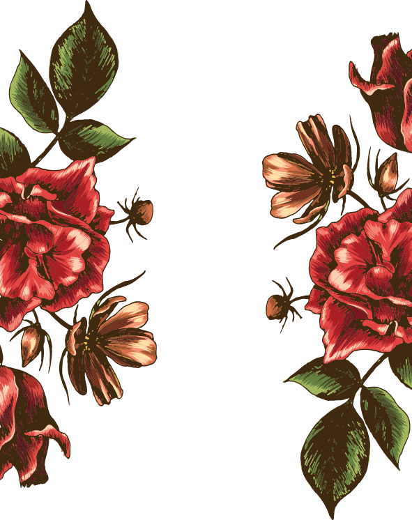 Beach Rose Flower Watercolor Painting - Beach Rose Flower Watercolor Painting (591x746)