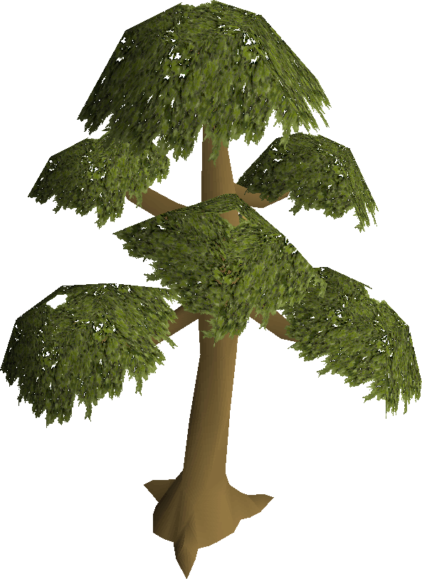 Cutting Yew Logs - Yew Tree Runescape 2007 (593x813)