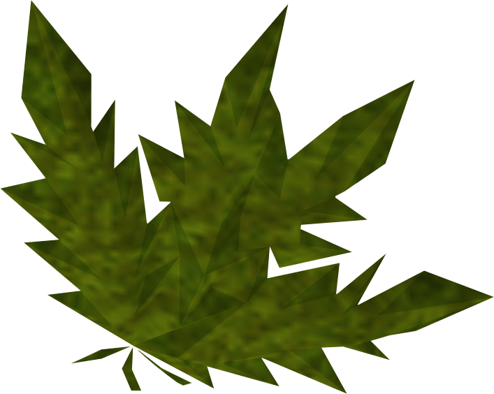 Buy Runescape 3 Herblore, Runescape 3 Herblore - Runescape Ranarr Weed (707x564)