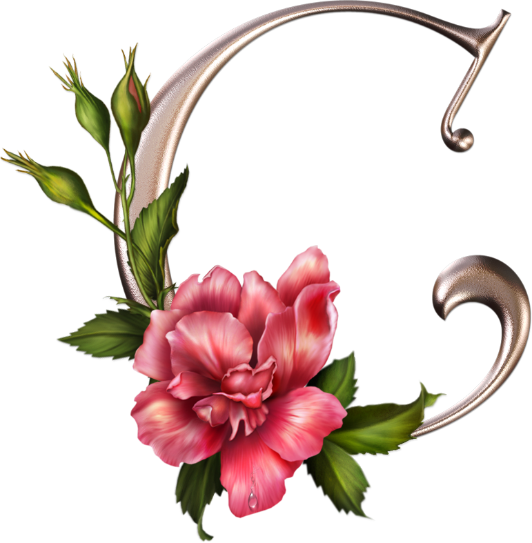 Clip Art - Letter C (771x787)