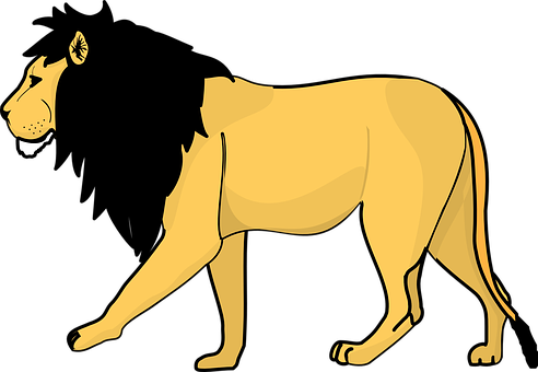 Lion Black Yellow Pride Animal Mammal Mane - Lion Line Drawing (492x340)