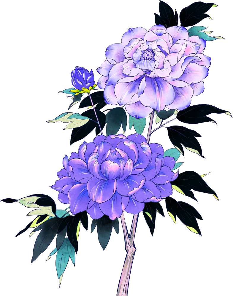 Akky Http - Chrysanths (785x1000)