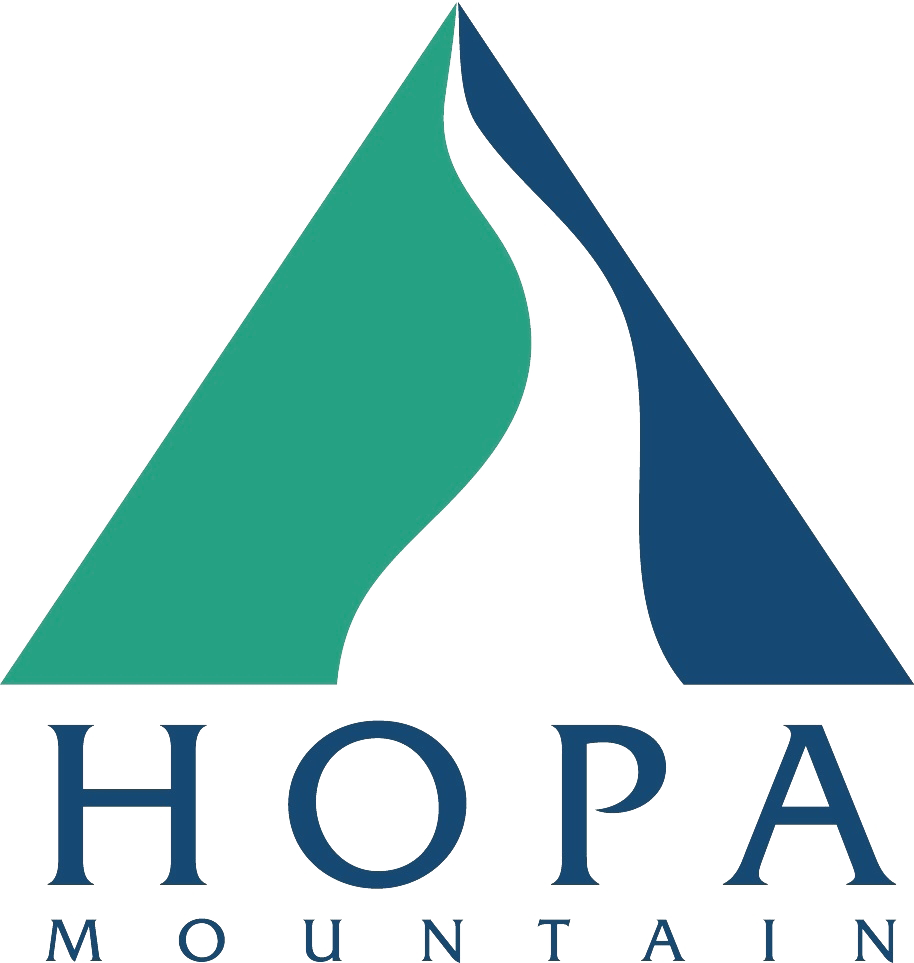 Martin Luther King, Jr - Hopa Mountain (914x963)