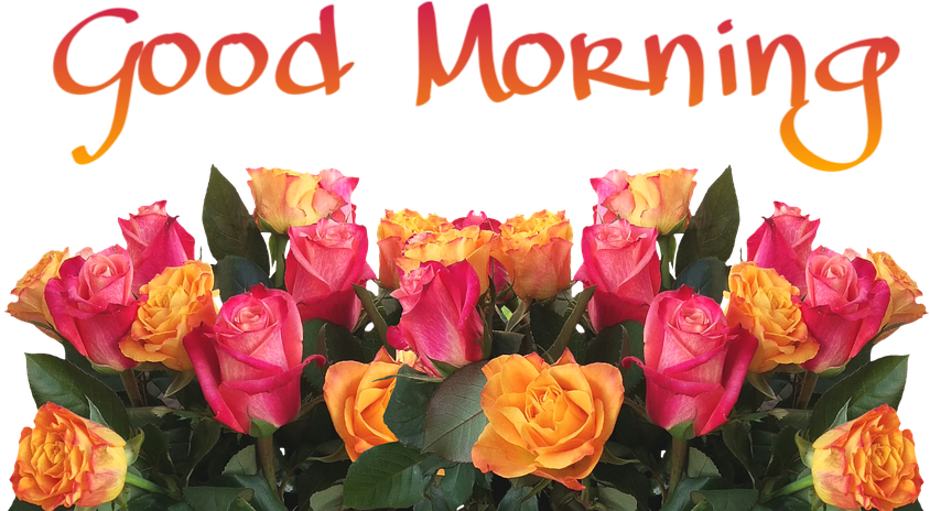 99 Good Morning Wishes With Flowers Pictures - Wood With Flowers Background (894x480)