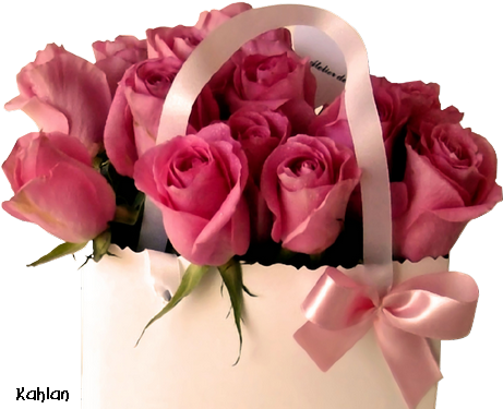 Explore Pink Roses, Good Morning Quotes, And More - Buket Bunga Ulang Tahun (474x422)