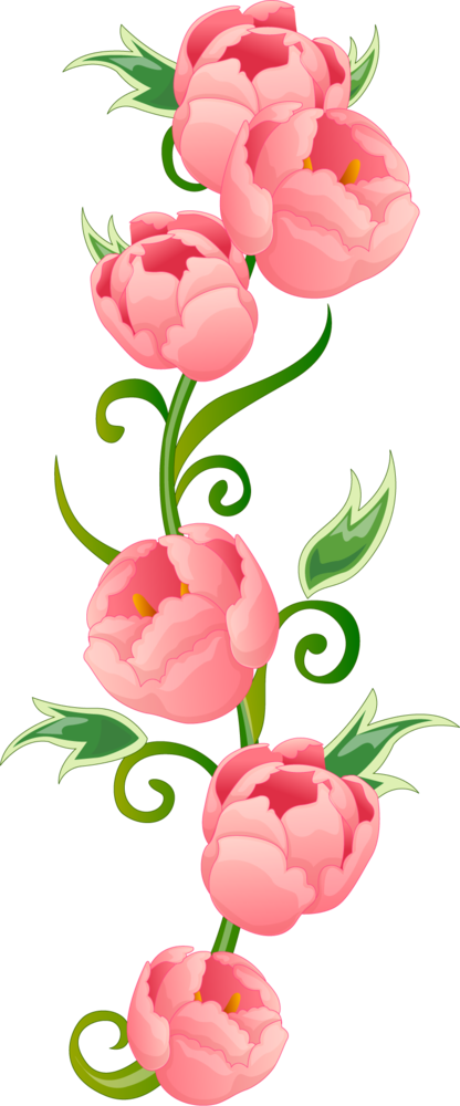 Peonies - Flower Wall Mural - Shower Bright (416x1000)