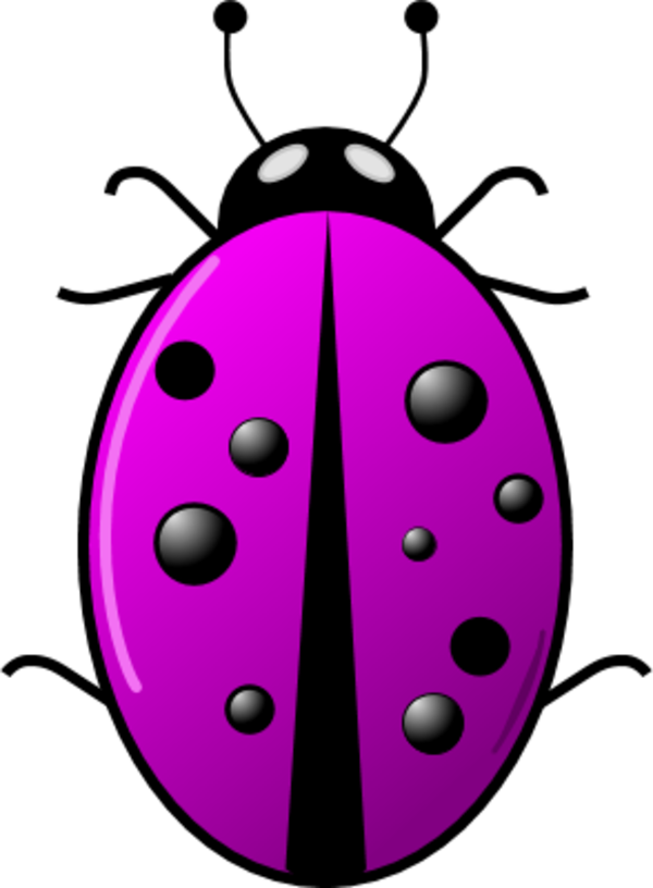 Vector Clip Art - Ladybug Clipart Png (600x816)
