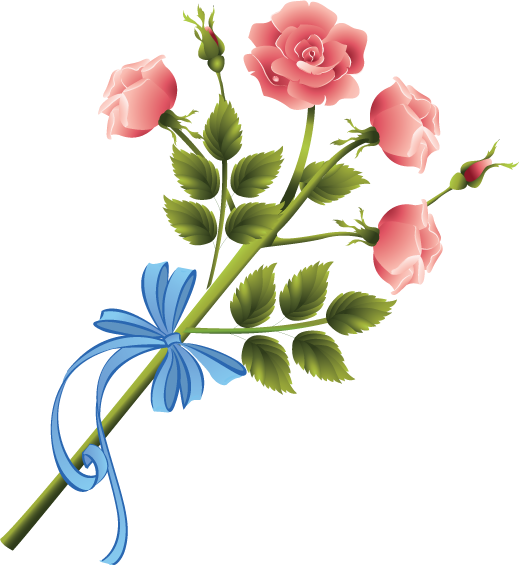 Peonies - Garden Roses (519x565)