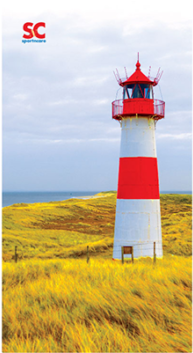 Lighthouse Bt8285 - Conduire Les Changements Collectifs - Broché (650x352)