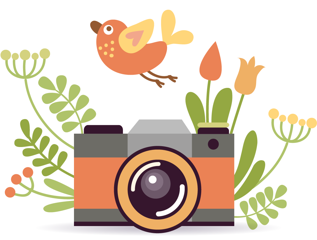 Photographic Film Camera Cartoon Poster - Camera Vector Png (1200x1200)