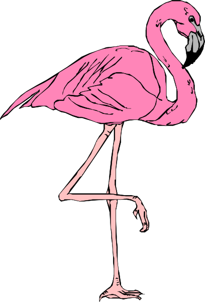 Flamingo Clipart - Le Flamant Rose Dessin (408x599)