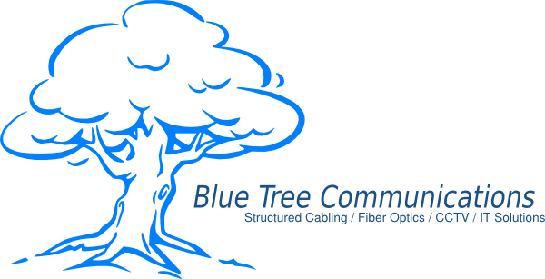 Blue Tree Logo Svg Clip Arts 600 X 307 Px - Drawing Image Banyan Tree (600x307)