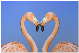 Two Pink Flamingos Like Heart On Blue Sky Background - Greater Flamingo (400x400)