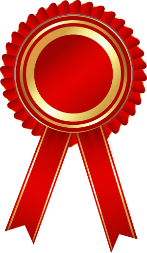 Certificate Ribbons - Ribbon Badge Vector Png (300x515)