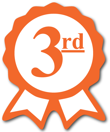 3rd Place Ribbons Clipart - 3rd Place Ribbon Png (500x500)
