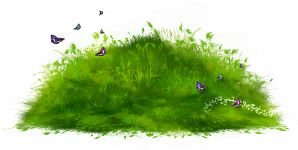 Spring Flowersanimated Gifclip - Grass Ground Png (600x313)