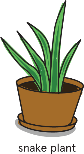 These Are Also Some Of The Best Plants For Improving - These Are Also Some Of The Best Plants For Improving (483x548)