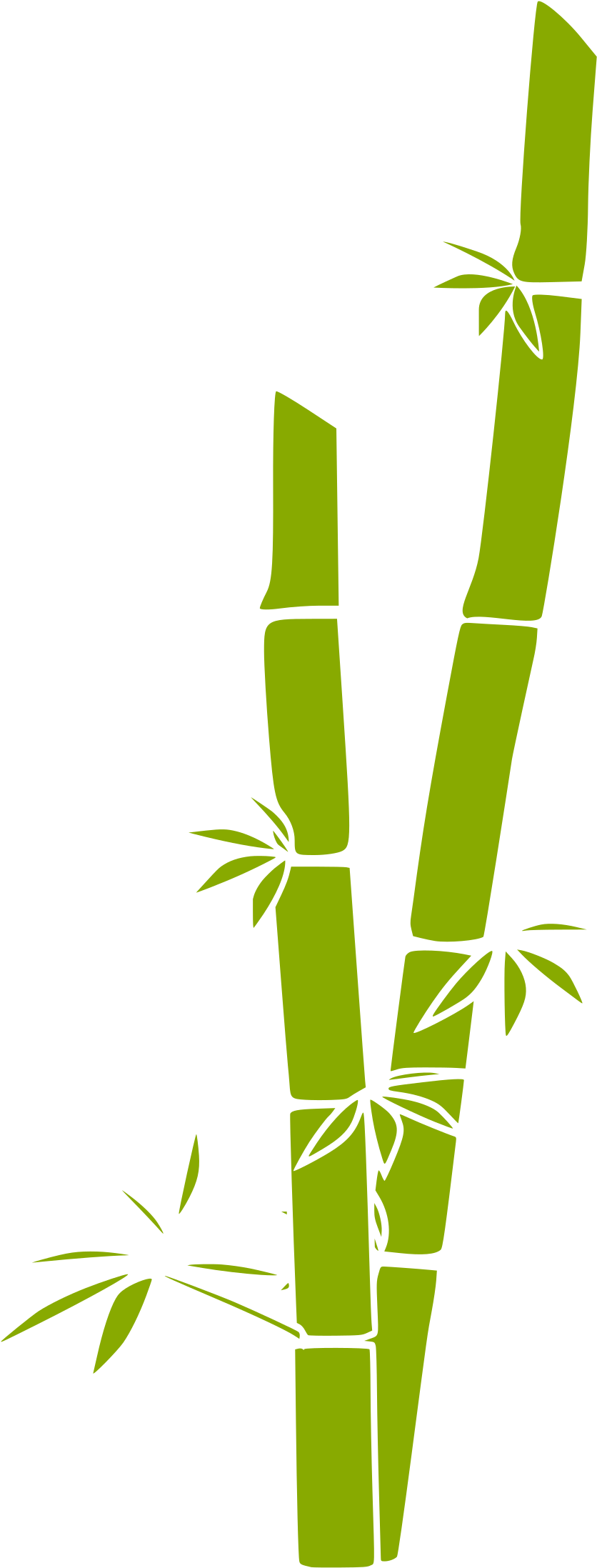 Clip Art Bamboo - Bamboo Clip Art (1369x2400)