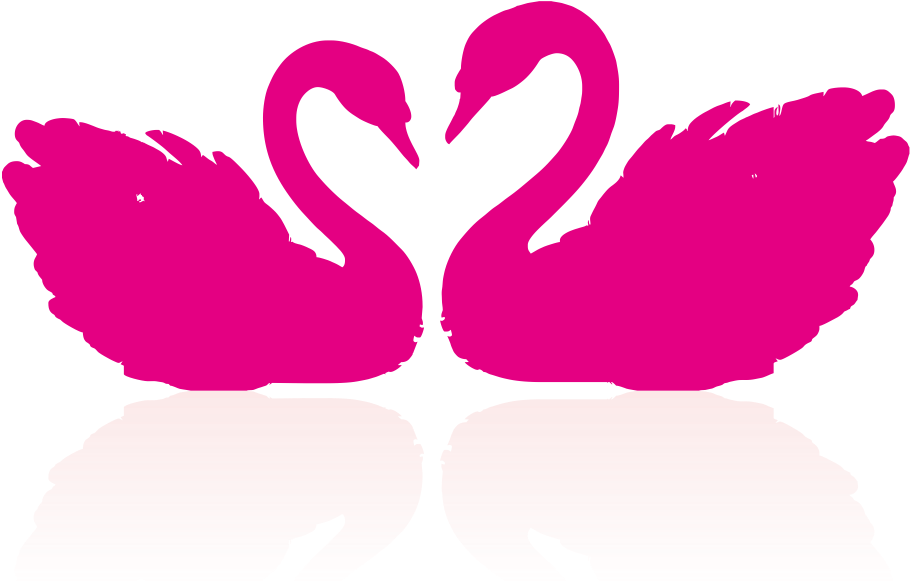 Cygnini Drawing Clip Art - Pink Swan Png (909x780)