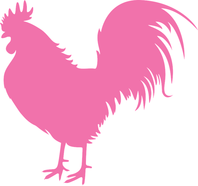 Cock, New Year Vector, Symbol, Pink, Vector, Drawing - Rooster Clipart Pink (767x720)
