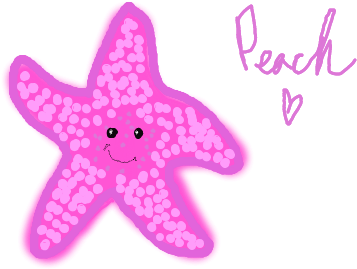 Cute Starfish Drawing - Starfish (450x340)