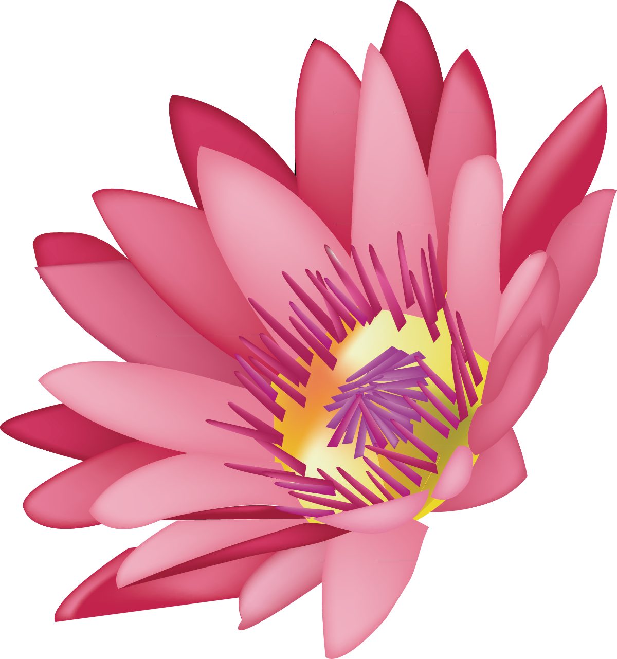 Lotus Decoration Design Drawing Graphics - Lotus Decoration Design Drawing Graphics (1200x1282)