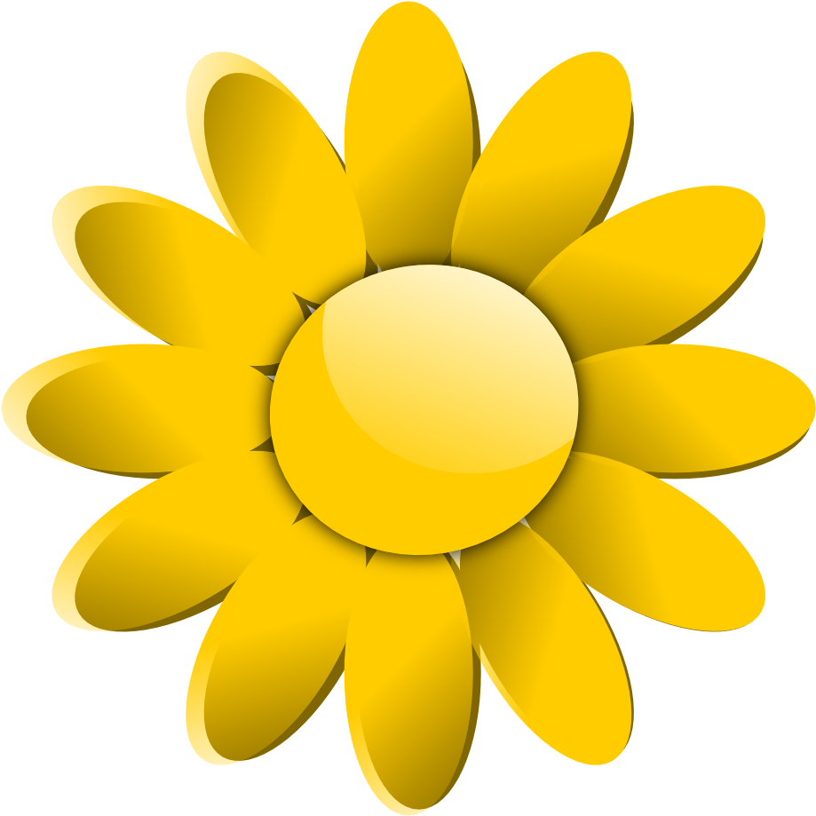 Black Flower Png - Color Palette For White Background (999x990)