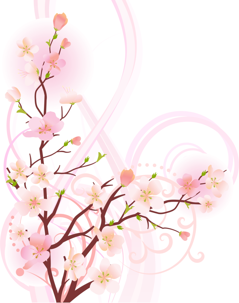 023126 1383694286 - プリント布ケース N-06c Medias Wpケース【docomo】 フラワー N06c F00 065 (800x1013)