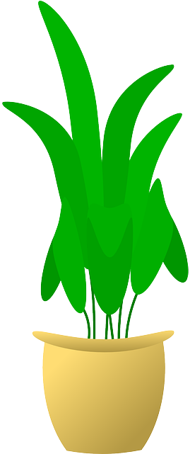 Home, Plants, Flower, Cartoon, Pot, Plant, Flowerpot - Plant In Pot (320x640)