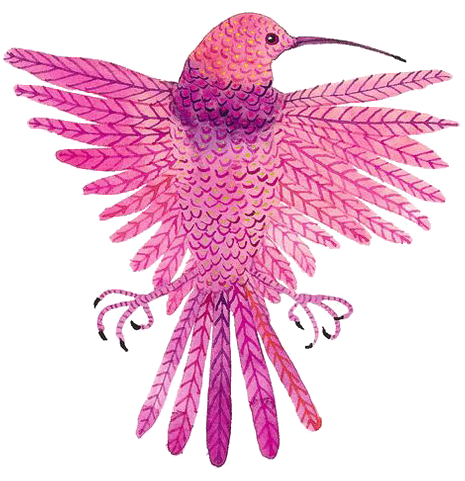 Pink Birds 564*773 Transprent Png Free Download - Pink Birds 564*773 Transprent Png Free Download (564x773)