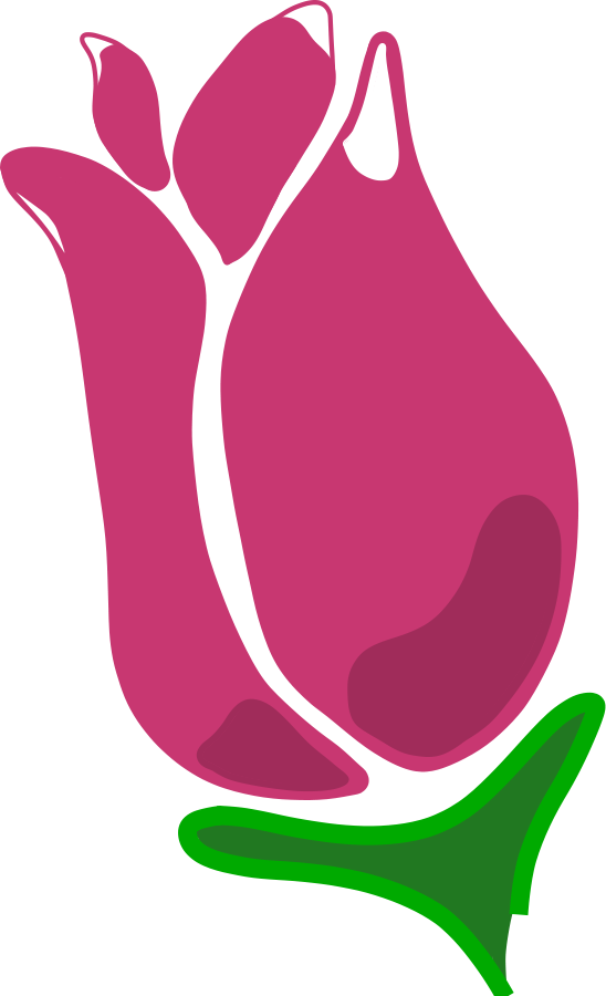 Rose Outline On Pinterest Flower - Rose Bud Vector (548x900)