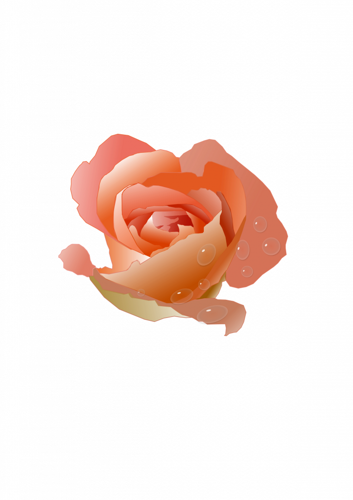 Peach Rose Flower Clip Art - Peach Rose Flower Clip Art (724x1024)