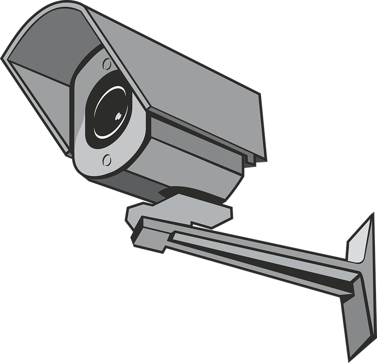 Sister 20clipart - Surveillance Camera Clipart (748x720)