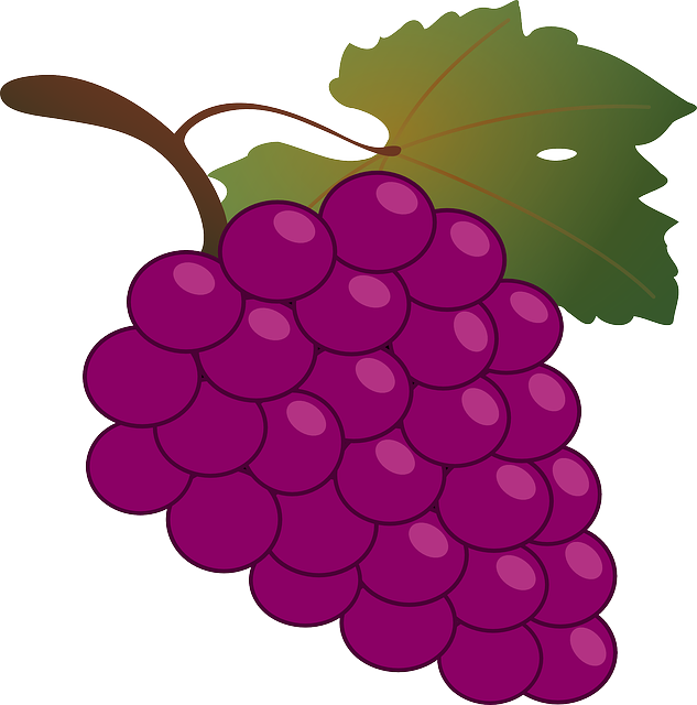 Red, Green, Food, Fruit, Wine, Grapes, Outline, Drawing - Bunch Of Grapes (633x640)