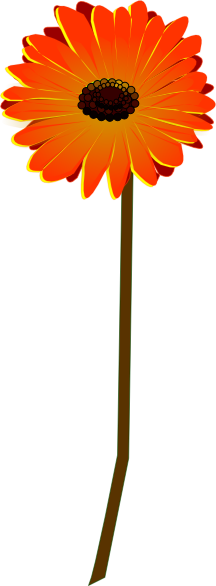 Gerbera Clipart Small - Gerbera Clipart (216x586)