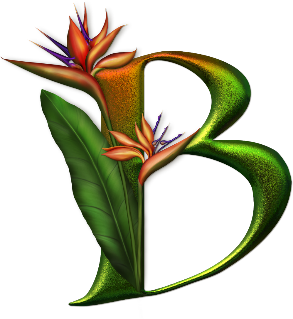 Special Letters, Bird Of Paradise, Alphabet Letters, - حروف انجليزية مزخرفة واشكال (998x1087)