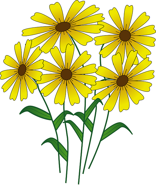 Blue, Simple, Fall, Outline, Yellow, Drawing - Flowers Clipart (540x640)
