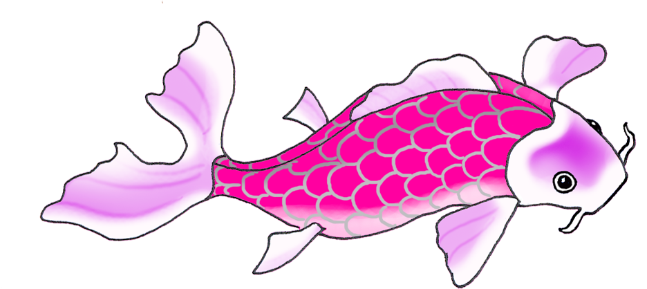 Lila Pink Koi Fish Drawing - Koi (1004x532)