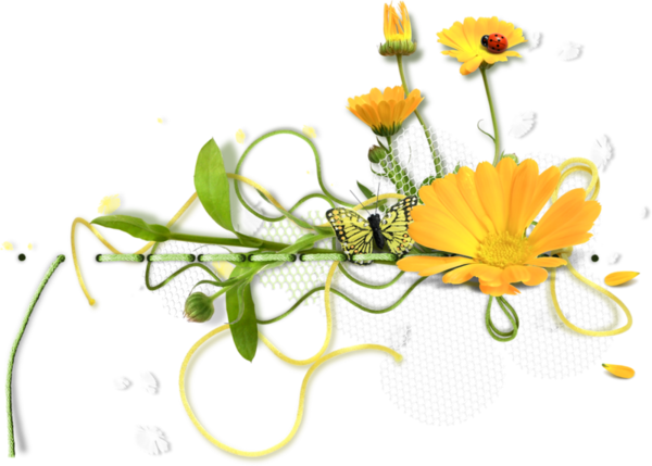 Flowers, Fleurs - Tube Fiori Png (600x429)