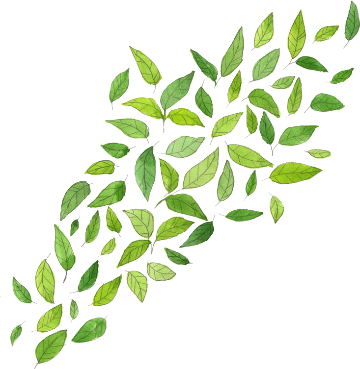 Leaves Png By Milkyanunnie On Deviantart - Leaves Png (749x807)