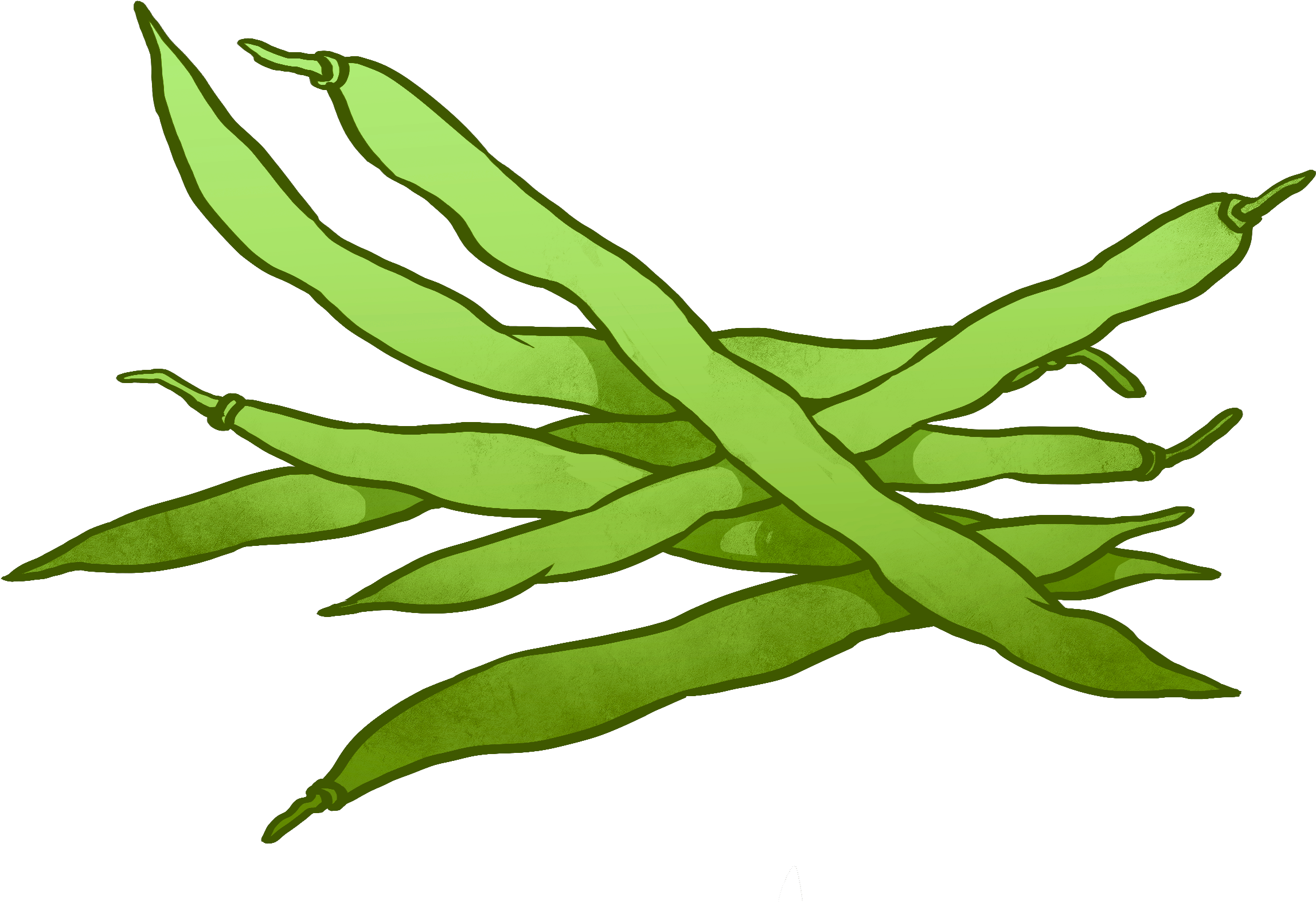 Canned Green Beans Clipart - Green Beans Clipart (2528x1663)