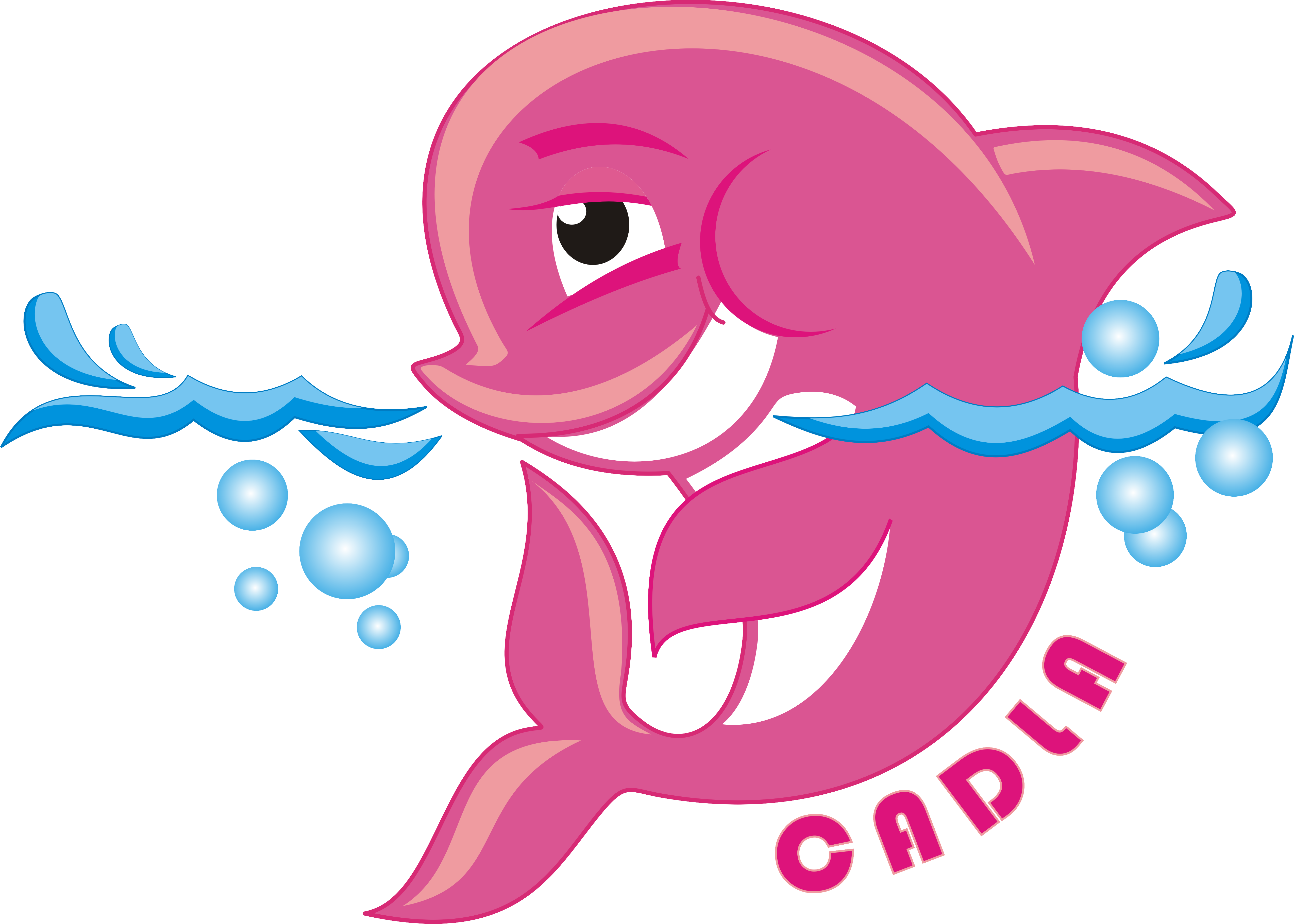 Dolphin Drawing Cartoon - Dolphin Drawing Cartoon (5099x3643)