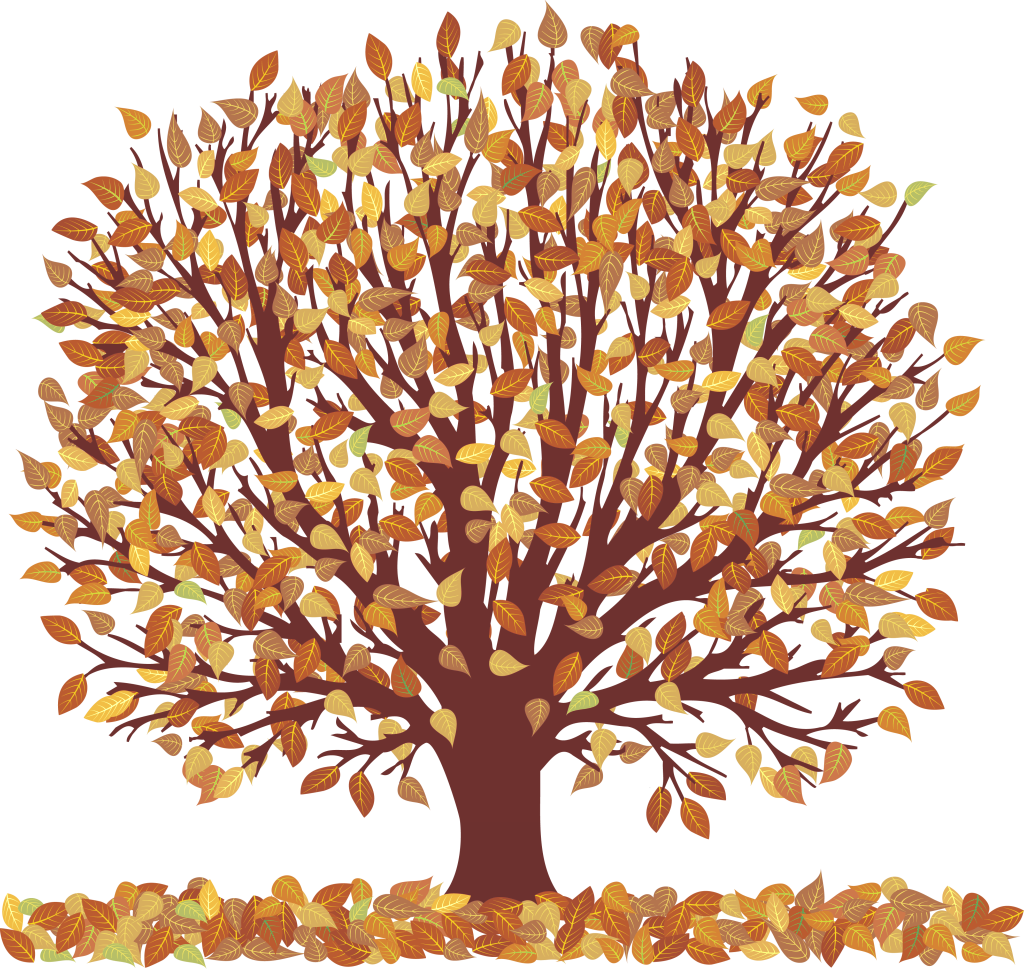Watercolor Fall Flower Clipart Fall Wedding Floral - Tree With Falling Leaves Clip Art (1024x973)
