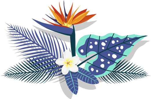 Fleurs Ibiscus Fleurs Ibiscus - Bird Of Paradise (1200x342)