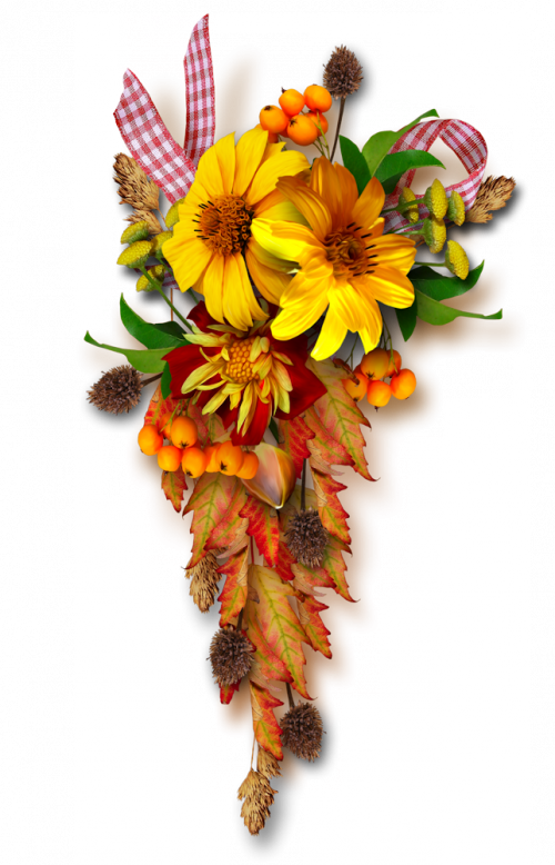 Tubes Fleurs - - Carolineblue - Digital Scrapbookingfall - Ysdafen Kn - 612 Beautiful Flowers Canvas Print 5pcs (500x778)