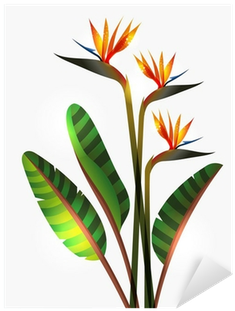 World Menagerie Greve Strand Flower Ombre Colored Botanic (400x400)