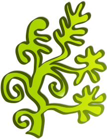 Algae Clipart (566x800)