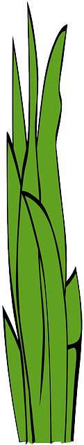 Free Pictures Free Clip Arts - Grass Clip Art (320x640)