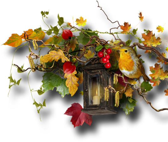 Photo 0 Eb38b 5784cfe3 Xxxl Zps2ebd39d9 - Bouquet (534x468)