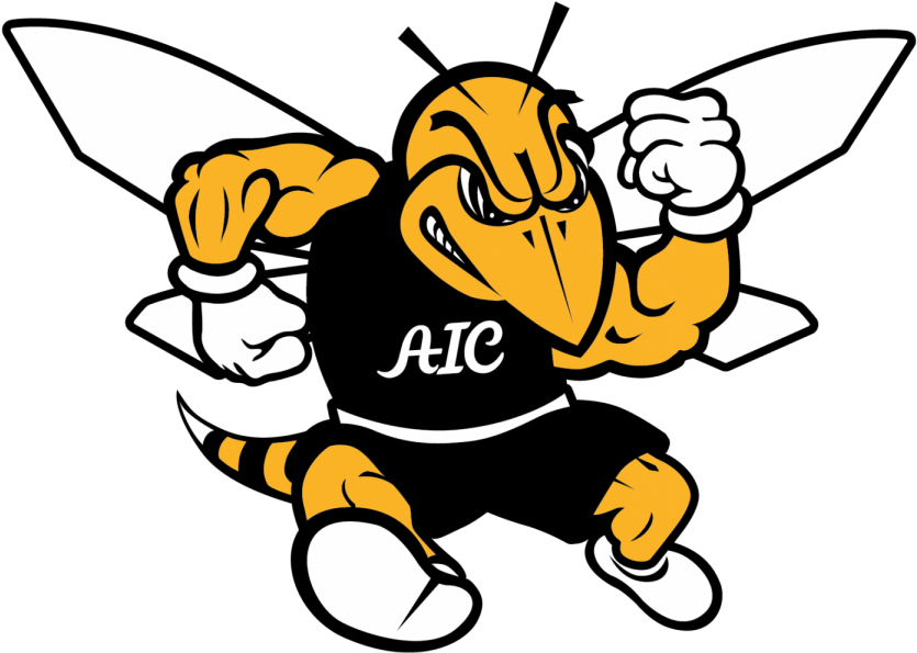 Wrapping Up The Fall Sports Season Aic Yellow Jacket - American International College Yellow Jackets (1200x859)